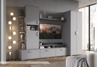 Денвер шиншила