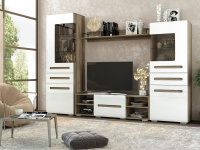 наоми гостин