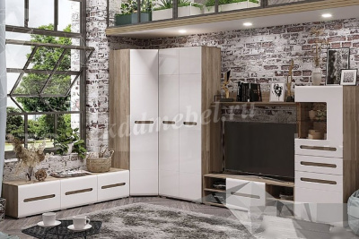 Комод Наоми многоцелевого назначения ТБ-18 (Дуб каньон/Белый глянец) 