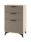 Тумба Ева 600 1С2Я (Дуб экспресив песочный/Глиняный)