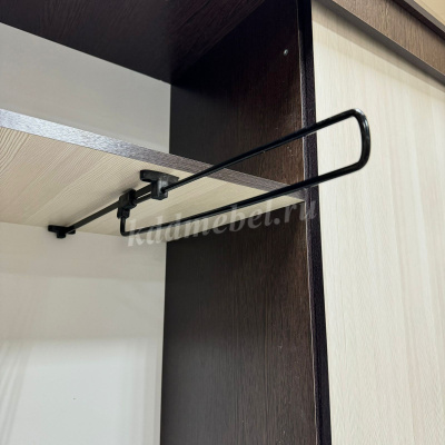 Шкаф-купе Агат (Дуб венге/Сосна лоредо)