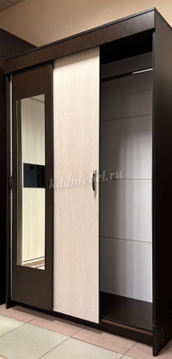 Шкаф-купе Бостон (Венге/Дуб атланта)