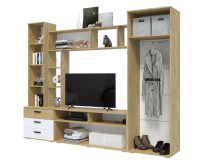 Крокус схема