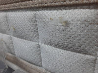 WhatsApp Image 2025-01-30 at 10.59.56