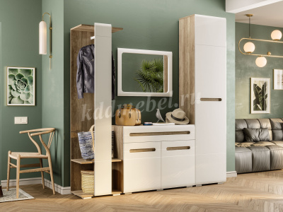 Комод Наоми многоцелевого назначения ТБ-18 (Дуб каньон/Белый глянец) 